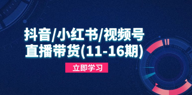抖音/小红书/视频号/直播带货(11-16期-爱我搜(25so)资源网