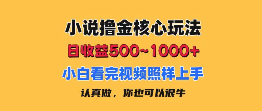 小说撸金核心玩法，日收益500-1000+，小白看完照样上手，0成本有手就行-爱我搜(25so)资源网