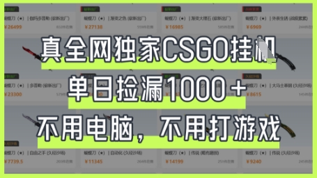 真全网独家CSGO挂G，单日捡漏1k+【揭秘】-爱我搜(25so)资源网