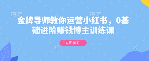 金牌导师教你运营小红书，0基础进阶赚钱博主训练课-爱我搜(25so)资源网