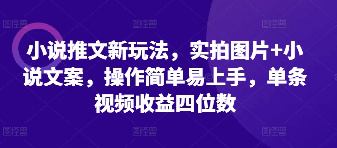 小说推文新玩法，实拍图片+小说文案，操作简单易上手，单条视频收益四位数-爱我搜(25so)资源网