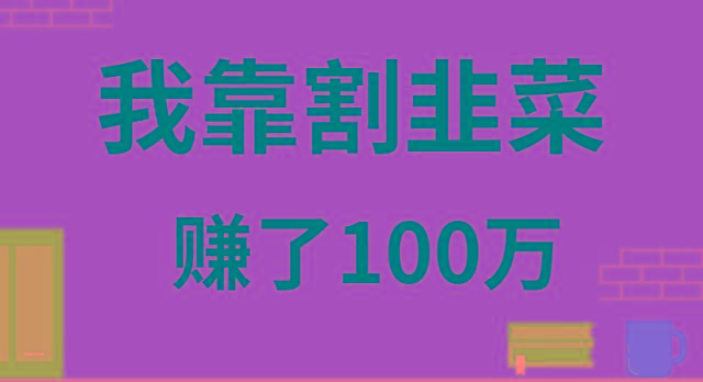 我靠割韭菜赚了 100 万-爱我搜(25so)资源网