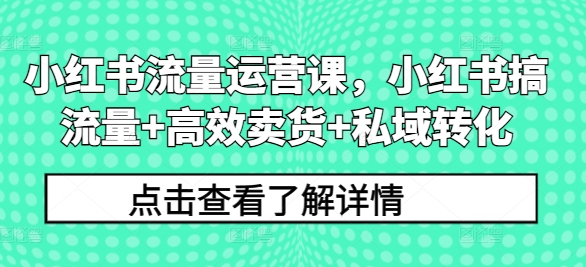 小红书流量运营课，小红书搞流量+高效卖货+私域转化-爱我搜(25so)资源网