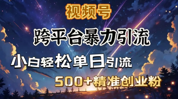 跨平台暴力引流，私域完美闭环，日引500+精准创业粉-爱我搜(25so)资源网
