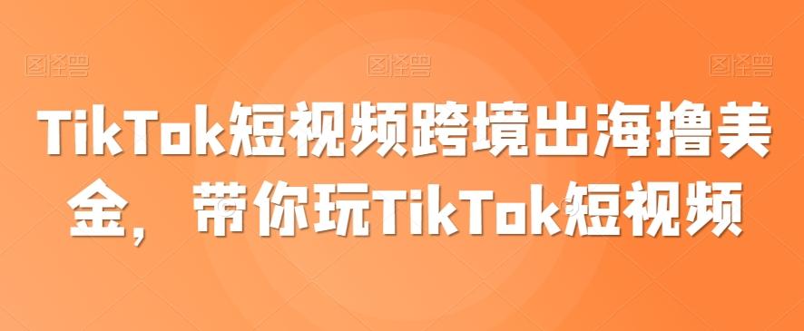 TikTok短视频跨境出海撸美金，带你玩TikTok短视频-爱我搜(25so)资源网