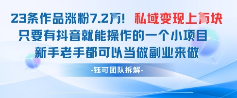 抖音私域项目23条作品涨粉7.2W，私域变现1W-爱我搜(25so)资源网
