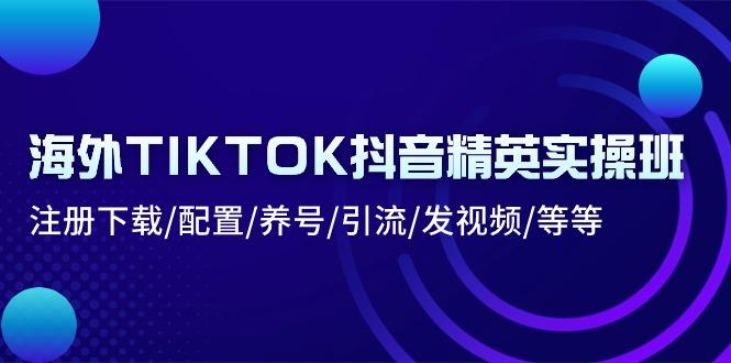 海外TIKTOK抖音精英实操班：注册下载/配置/养号/引流/发视频/等等-爱我搜(25so)资源网