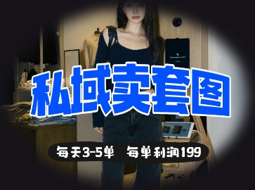 私域卖套图每天3-5单，每单利润99-爱我搜(25so)资源网