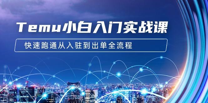 (9295期)Temu小白入门实战课：跨境拼多多电商培训 快速跑通从入驻到出单全流程-12节-爱我搜(25so)资源网