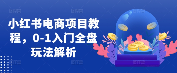 小红书电商项目教程，0-1入门全盘玩法解析-爱我搜(25so)资源网