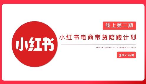 2025小红书虚拟电商实战课-爱我搜(25so)资源网