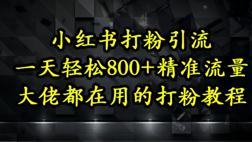 小红书打粉引流，一天轻松500+精准流量，大佬都在用的打粉教程-爱我搜(25so)资源网