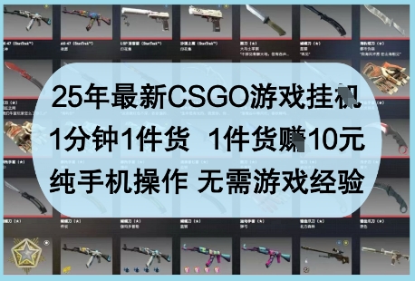 25年最新CSGO游戏挂G，1分钟1件货，1件货挣10元，纯手机操作，无需游戏经验【揭秘】-爱我搜(25so)资源网