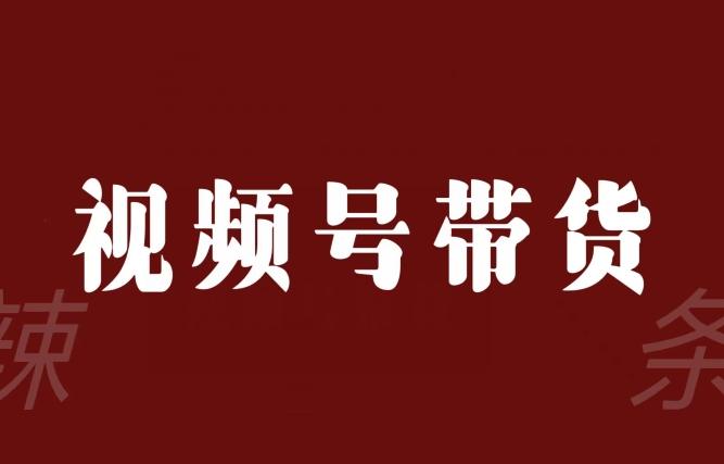 视频号带货联盟，赚信息差的带货钱，只需手机随时随地都可以做！-爱我搜(25so)资源网