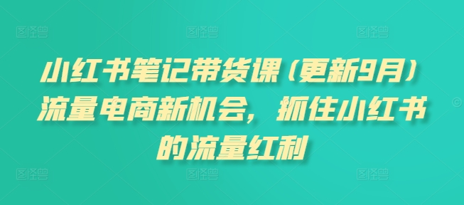 小红书笔记带货课(更新25年5月)流量电商新机会，抓住小红书的流量红利-爱我搜(25so)资源网