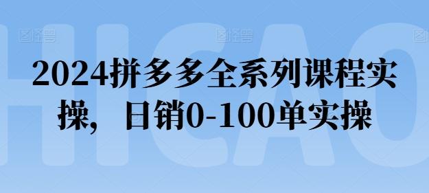 2024拼多多全系列课程实操，日销0-100单实操【必看】-爱我搜(25so)资源网