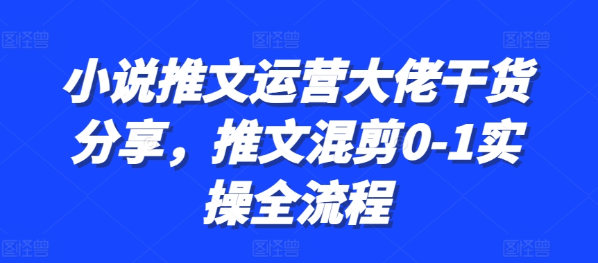 小说推文运营大佬干货分享，推文混剪0-1实操全流程-爱我搜(25so)资源网