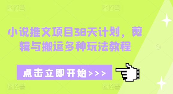 小说推文项目38天计划，剪辑与搬运多种玩法教程-爱我搜(25so)资源网