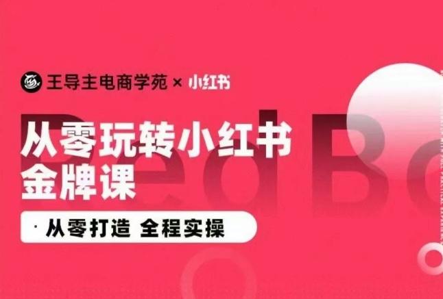 王导主·小红书电商运营实操课，​从零打造  全程实操-爱我搜(25so)资源网