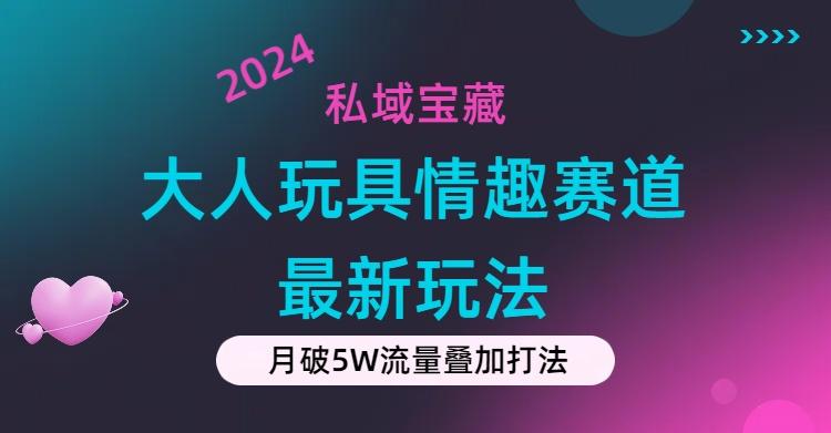 私域宝藏：大人玩具情趣赛道合规新玩法，零投入，私域超高流量成单率高-爱我搜(25so)资源网