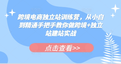 跨境电商独立站训练营，从小白到精通手把手教你做跨境+独立站建站实战-爱我搜(25so)资源网