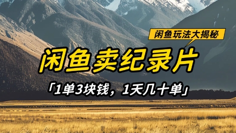 闲鱼卖纪录片1单3块钱，1天几十单，项目稳定有潜力-爱我搜(25so)资源网