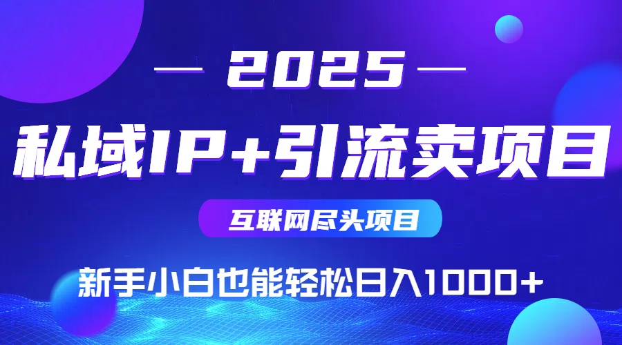 私域IP+卖项目，普通人小白也能轻松实现日入1000+-爱我搜(25so)资源网