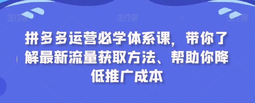 拼多多运营必学体系课，带你了解最新流量获取方法、帮助你降低推广成本-爱我搜(25so)资源网