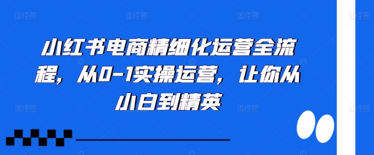 小红书电商精细化运营全流程，从0-1实操运营，让你从小白到精英-爱我搜(25so)资源网