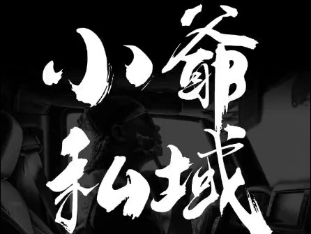小爷·私域项目操盘手-爱我搜(25so)资源网