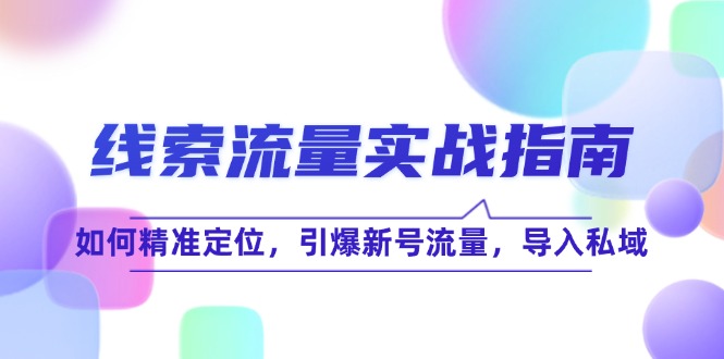 线 索 流 量-实战指南：如何精准定位，引爆新号流量，导入私域-爱我搜(25so)资源网