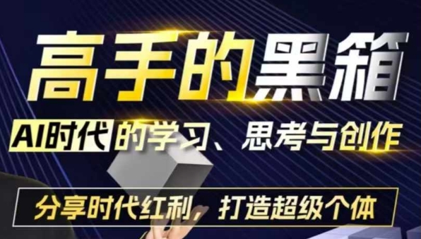 高手的黑箱：AI时代学习、思考与创作-分红时代红利，打造超级个体-爱我搜(25so)资源网