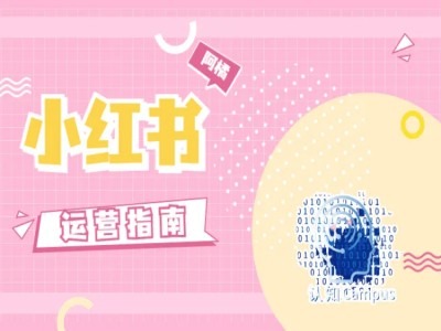小红书运营指南，没有套路，全是经验-爱我搜(25so)资源网