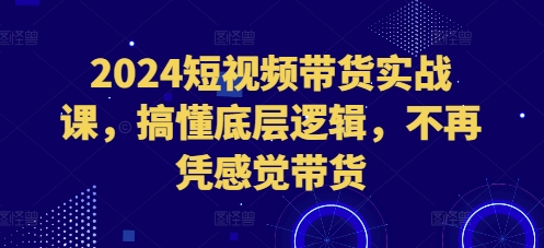 2024短视频带货实战课，搞懂底层逻辑，不再凭感觉带货-爱我搜(25so)资源网