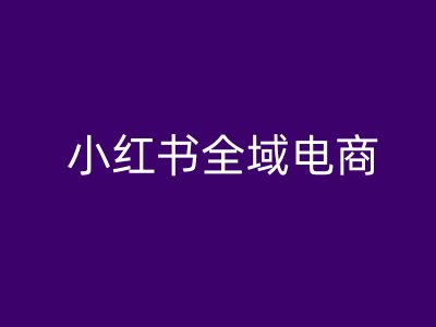 小红书全域电商，小红书电商教程-爱我搜(25so)资源网