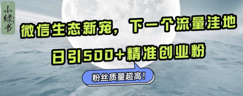 微信生态新宠小绿书：下一个流量洼地，日引500+精准创业粉，粉丝质量超高-爱我搜(25so)资源网