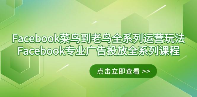 Facebook-菜鸟到老鸟全系列运营玩法+Facebook-专业广告投放全系列课程-爱我搜(25so)资源网