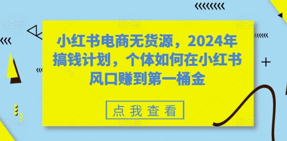 小红书电商无货源，2024年搞钱计划，个体如何在小红书风口赚到第一桶金-爱我搜(25so)资源网