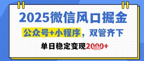 2025微信风口掘金，公众号+小程序双管齐下，单日稳定变现1k+【揭秘】-爱我搜(25so)资源网
