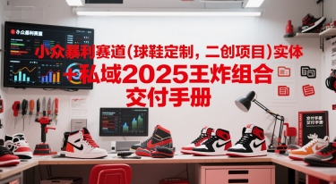 小众暴利赛道(球鞋定制，二创项目)实体+私域2025王炸组合  交付手册-爱我搜(25so)资源网