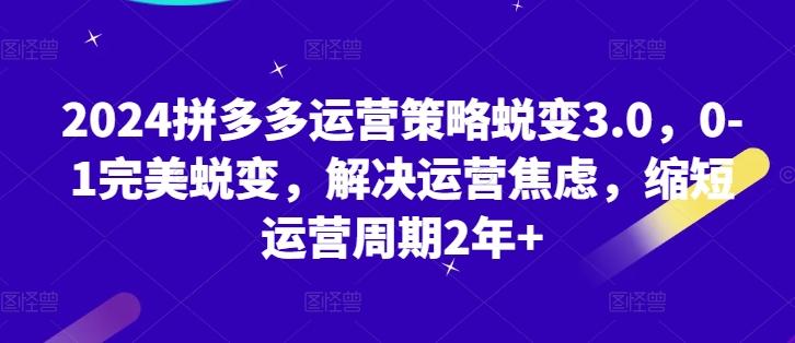 2024拼多多运营策略蜕变3.0，0-1完美蜕变，解决运营焦虑，缩短运营周期2年+-爱我搜(25so)资源网