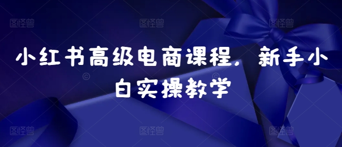 小红书高级电商课程，新手小白实操教学-爱我搜(25so)资源网