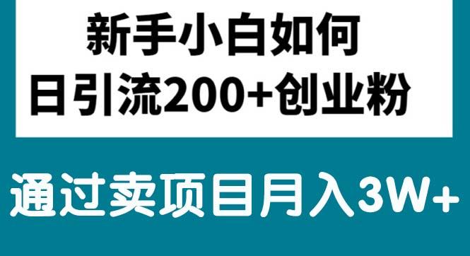 新手小白日引流200+创业粉,通过卖项目月入3W+-爱我搜(25so)资源网