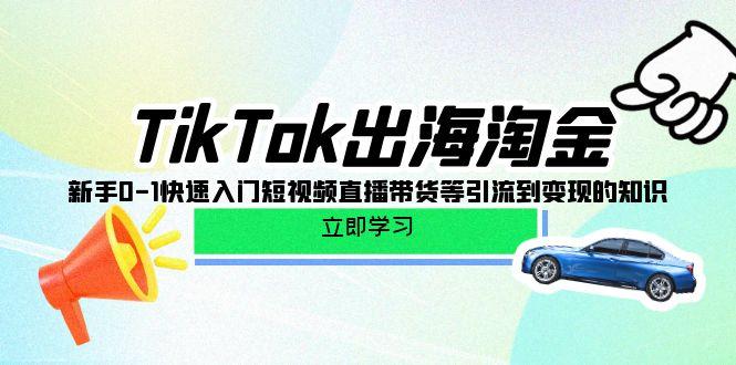 (10035期)TikTok-出海淘金，新手0-1快速入门短视频直播带货等引流到变现的知识-爱我搜(25so)资源网