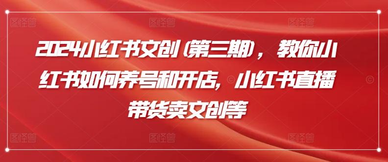 2024小红书文创(第三期)，教你小红书如何养号和开店，小红书直播带货卖文创等-爱我搜(25so)资源网