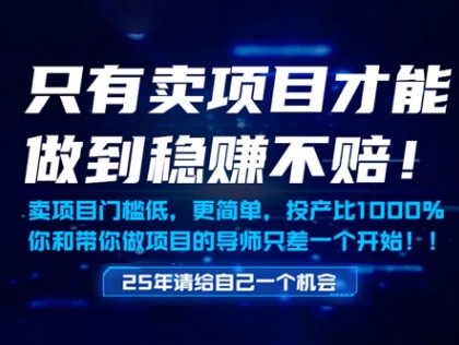 只有卖项目才能做到稳挣不赔，门槛低，更简单，你也可以年入百个W【揭秘】-爱我搜(25so)资源网