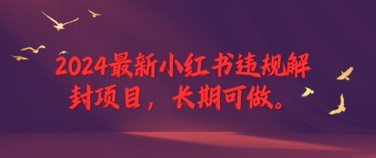 2024最新小红书违规解封项目，长期可做，一个可以做到退休的项目【揭秘】-爱我搜(25so)资源网