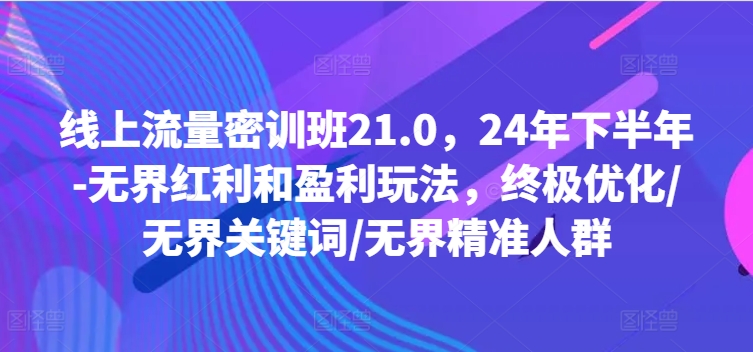 线上流量密训班21.0，24年下半年-无界红利和盈利玩法，终极优化/无界关键词/无界精准人群-爱我搜(25so)资源网
