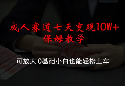 成人赛道七天变现10W+保姆教学，可放大，0基础小白也能轻松上车【揭秘】-爱我搜(25so)资源网