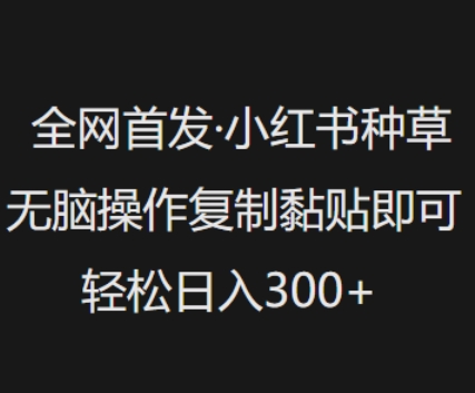 全网首发，小红书种草无脑操作，复制黏贴即可，轻松日入3张-爱我搜(25so)资源网